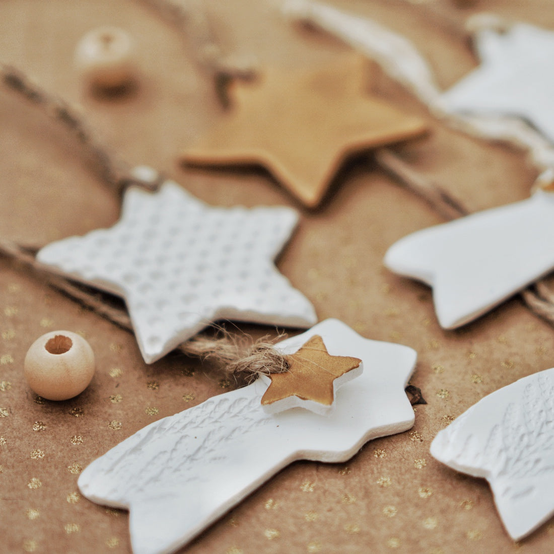 Shooting Star Ornament, Stem Print - bonosensu