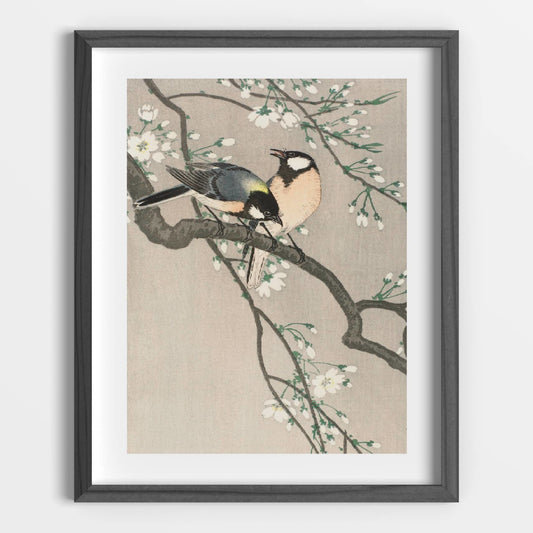 Tits on Cherry Branch Printable Poster - bonosensu