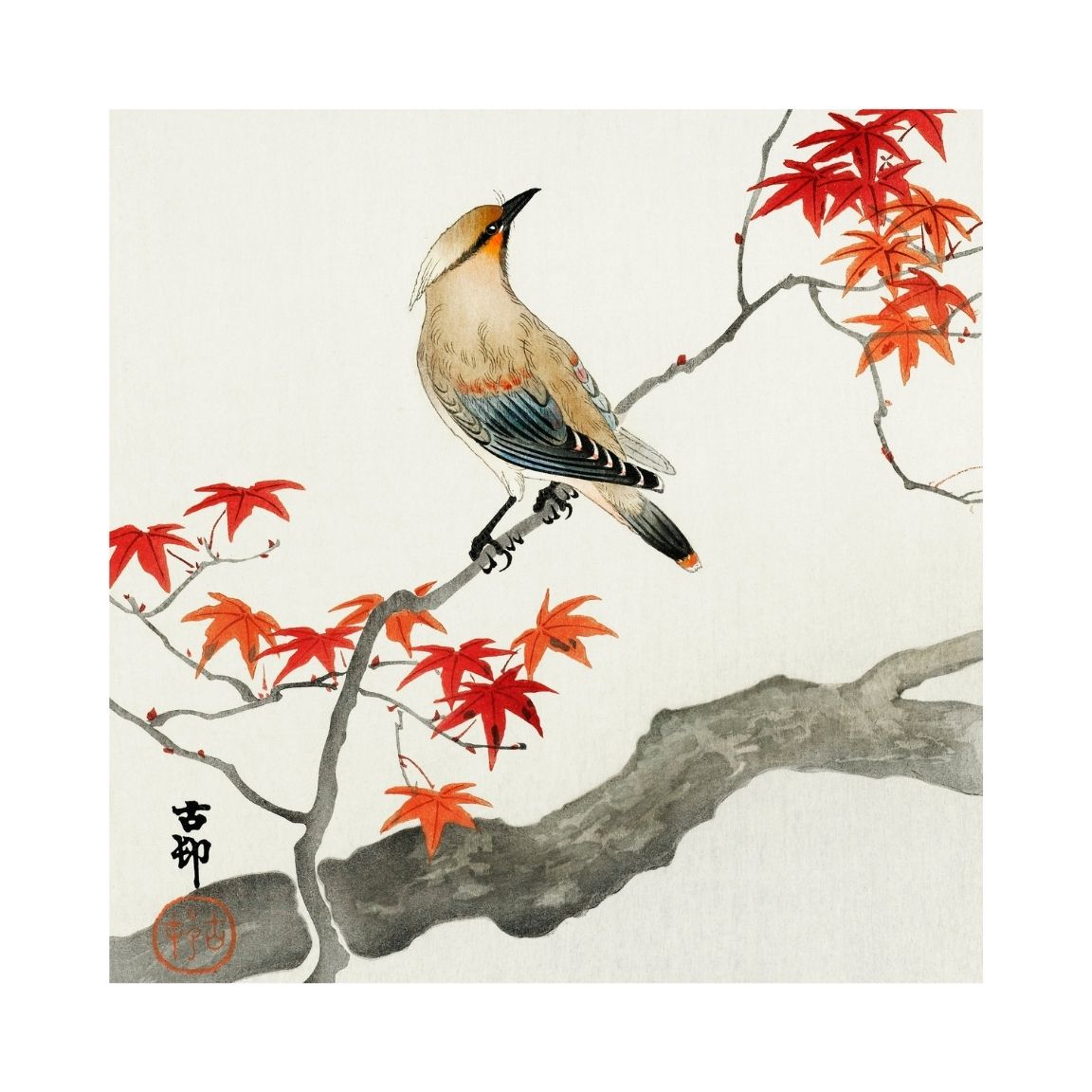 Japanese Plague Bird on Maple Printable Poster - bonosensu