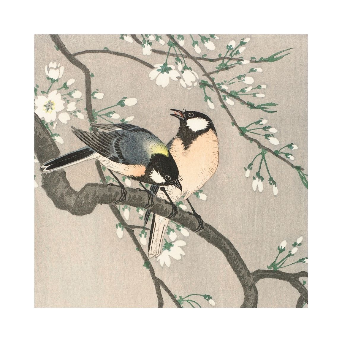 Tits on Cherry Branch Printable Poster - bonosensu