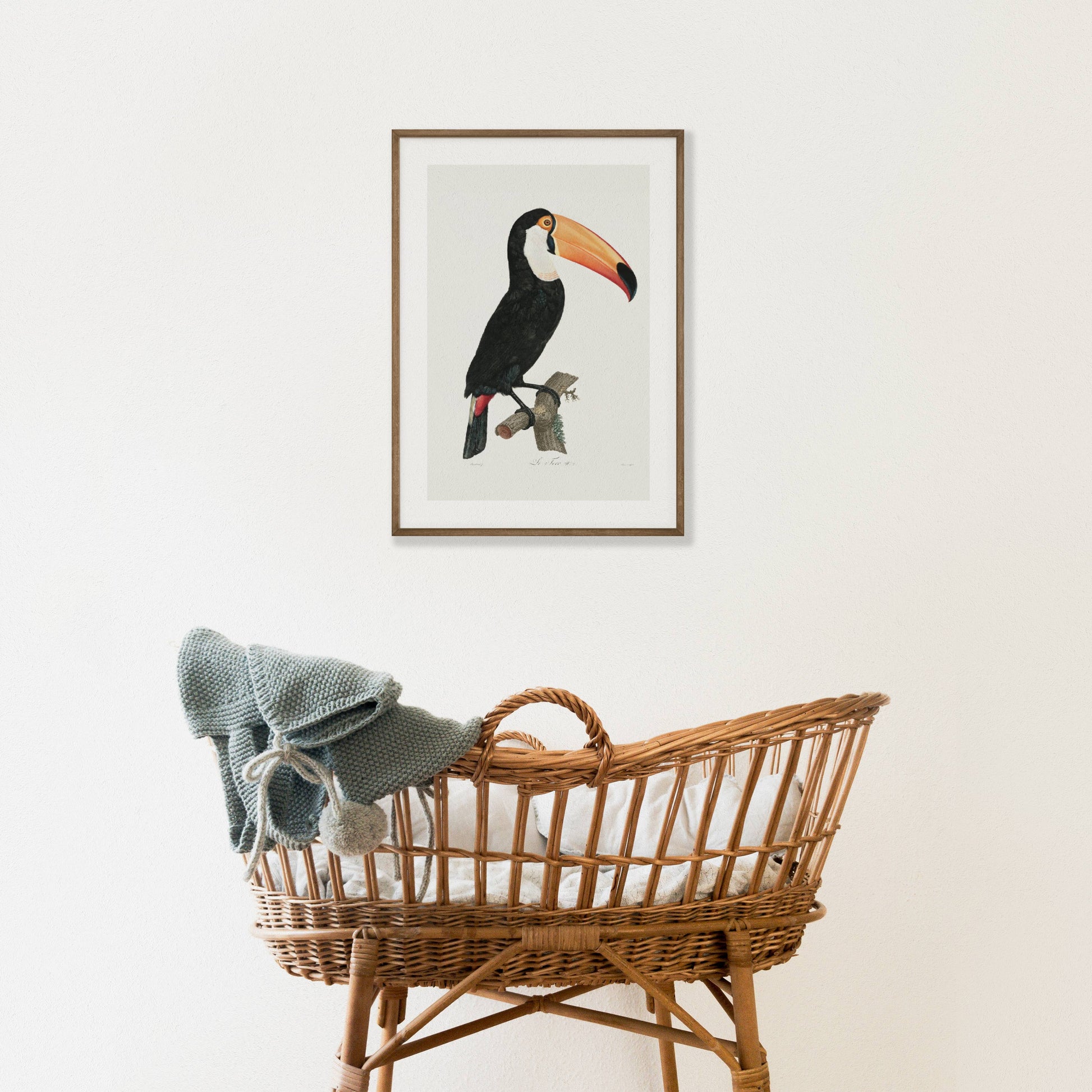Toco Toucan Printable Poster - bonosensu
