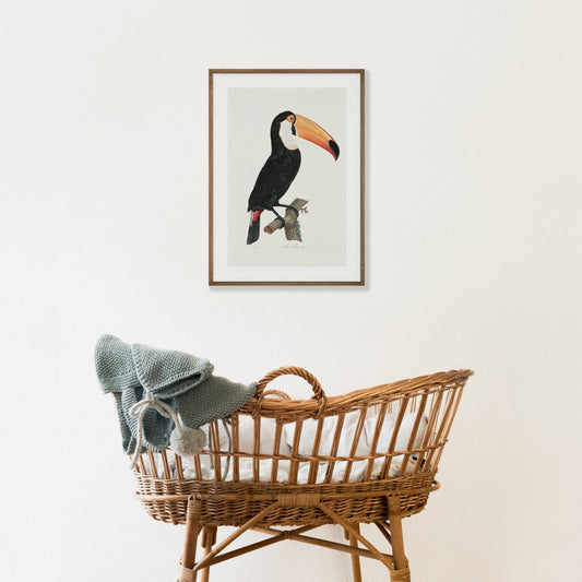 Toco Toucan Printable Poster - bonosensu