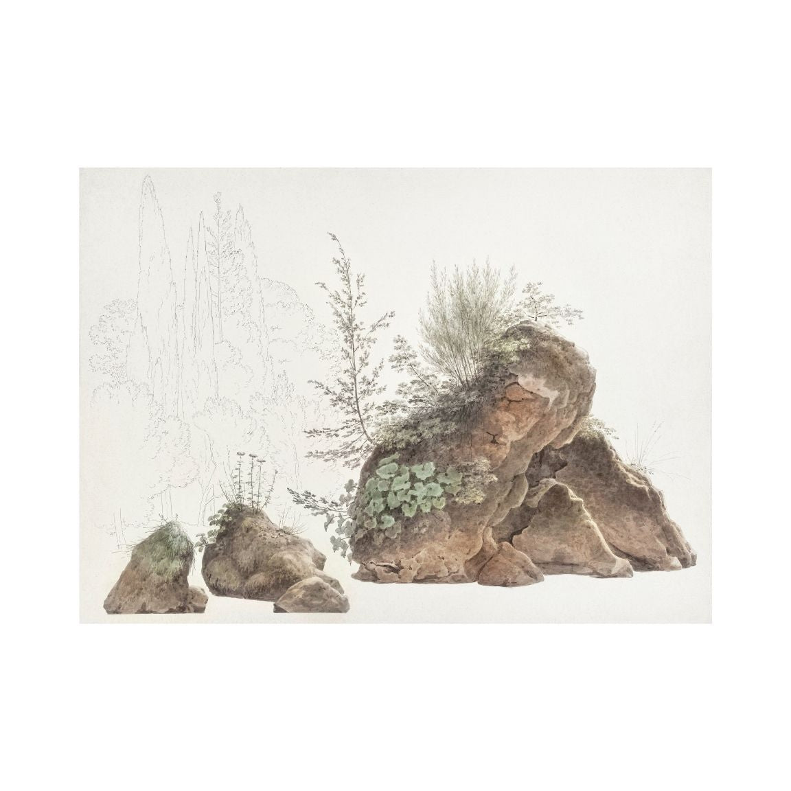 Overgrown Rocks Printable Poster - bonosensu
