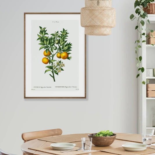 Oranges on a Branch Printable Poster - bonosensu