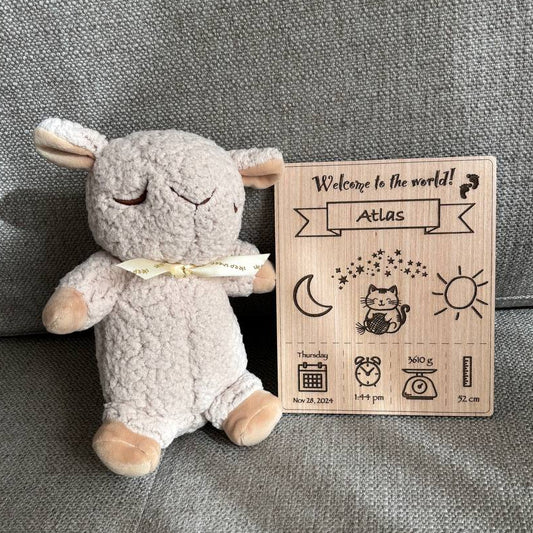 "Welcome to the world" baby wooden gift