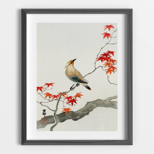 Japanese Plague Bird on Maple Printable Poster - bonosensu