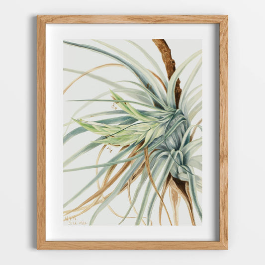 Wild Pineapple Printable Poster - bonosensu