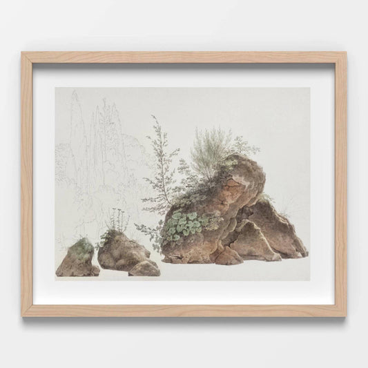 Overgrown Rocks Printable Poster - bonosensu